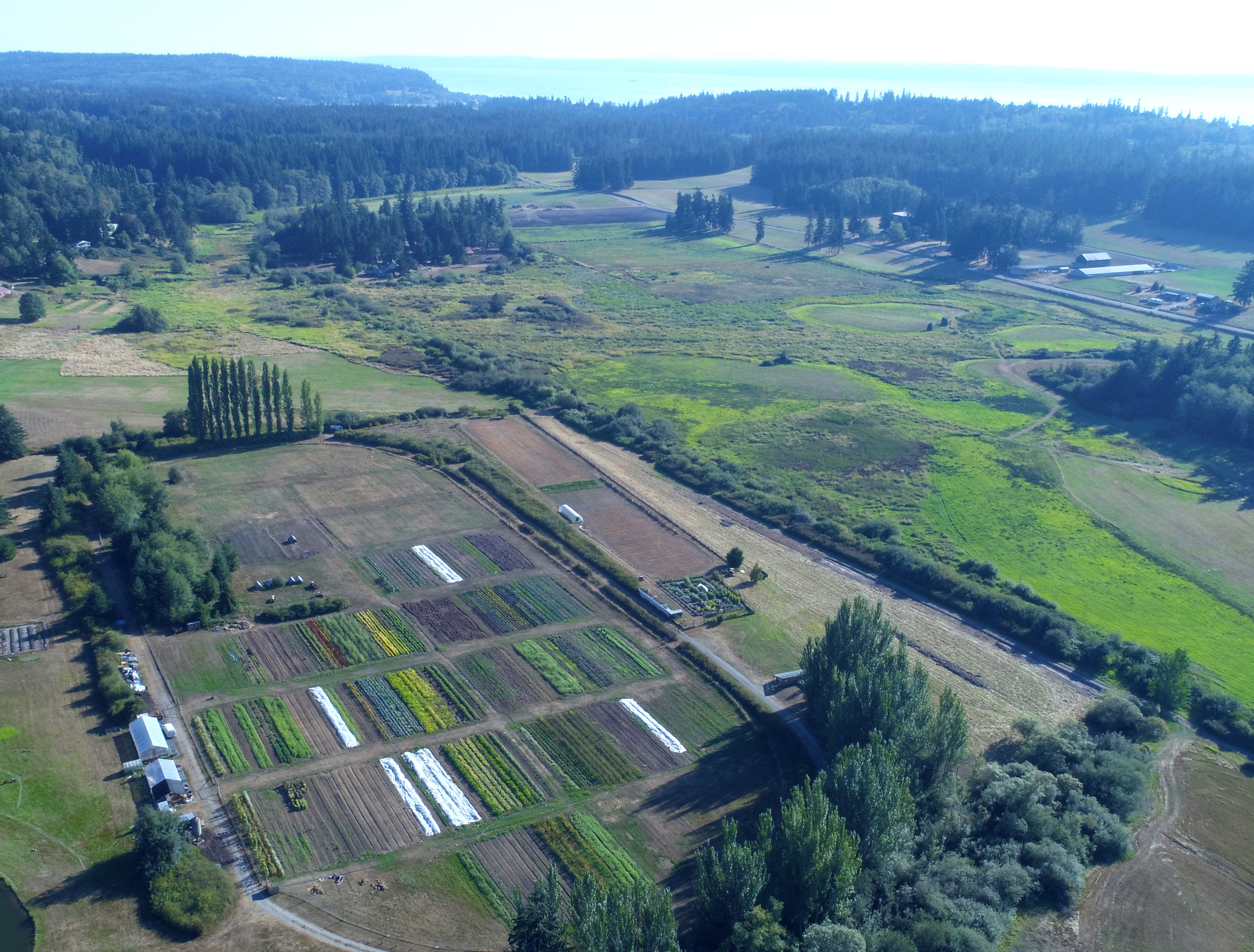 A bird's eye view of the Organic Farm School.